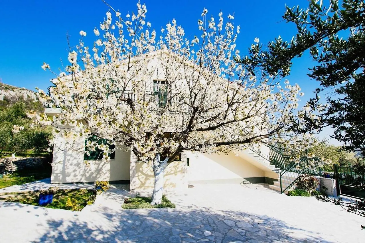 Family Friendly House With A Swimming Pool Plano, Trogir - 21403 Villa Prgomet Holiday home